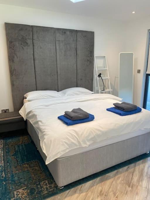 Beautiful Garden Apartment With Private Patio And Garden View Dublin Eksteriør billede