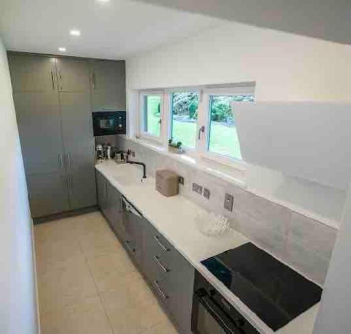 Beautiful Garden Apartment With Private Patio And Garden View Dublin Eksteriør billede