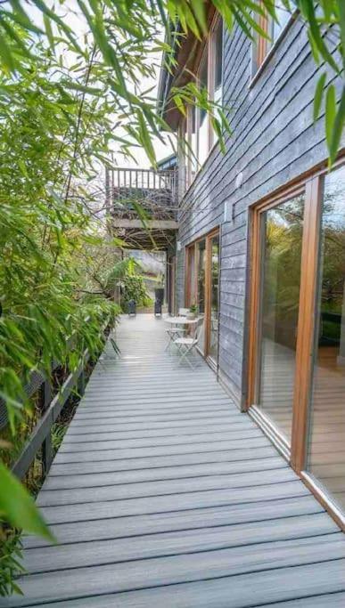 Beautiful Garden Apartment With Private Patio And Garden View Dublin Eksteriør billede