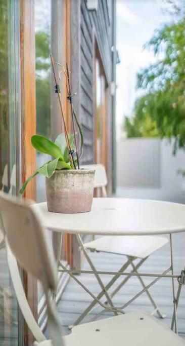 Beautiful Garden Apartment With Private Patio And Garden View Dublin Eksteriør billede